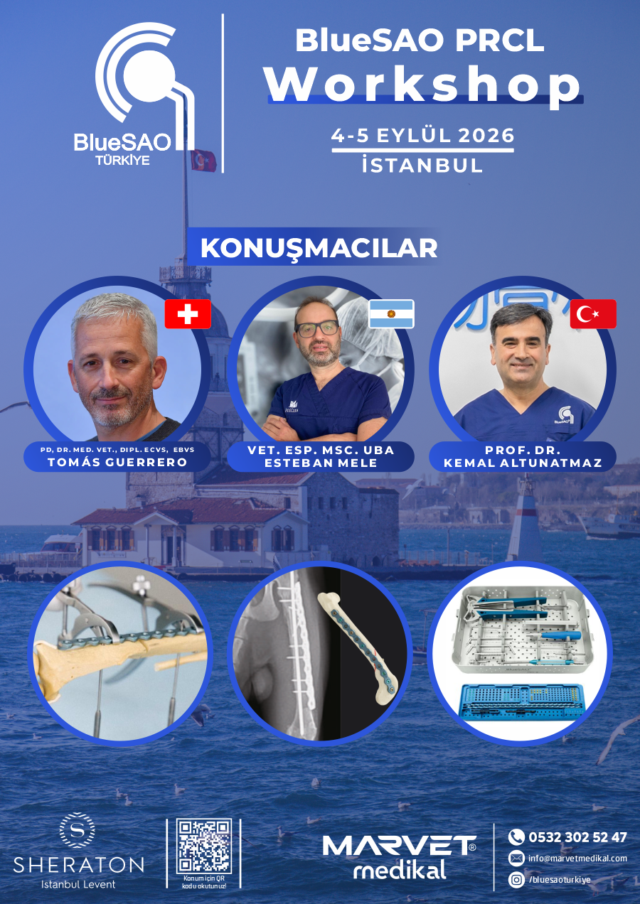 BlueSAO Türkiye (PRCL) Temel Plaka Uygulama Atölyesi